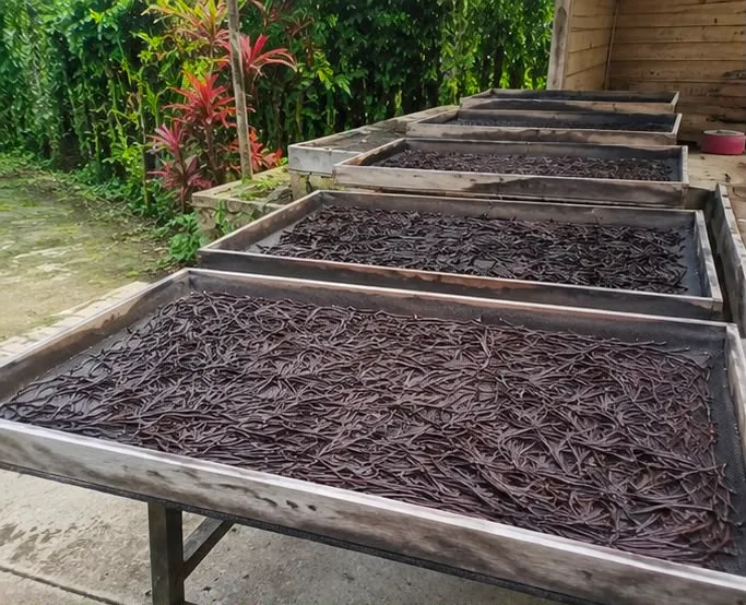 Sun-drying trays