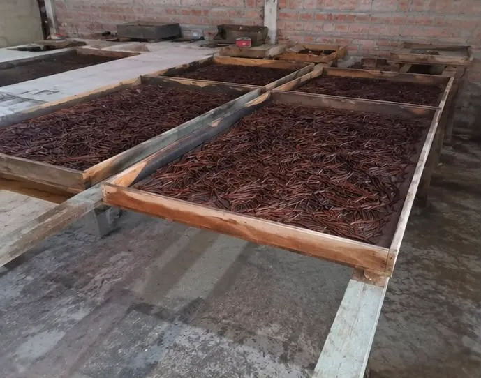 Processing facility
